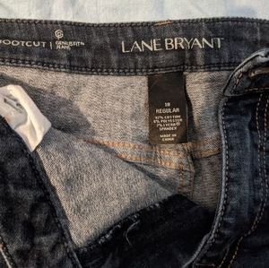 Lane Bryant Genius Fit Jeans